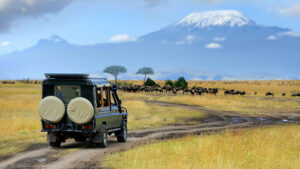 serengeti2