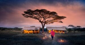 serengeti3