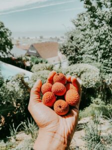 sharaan-muruvan-j90YSlgQy68-unsplash