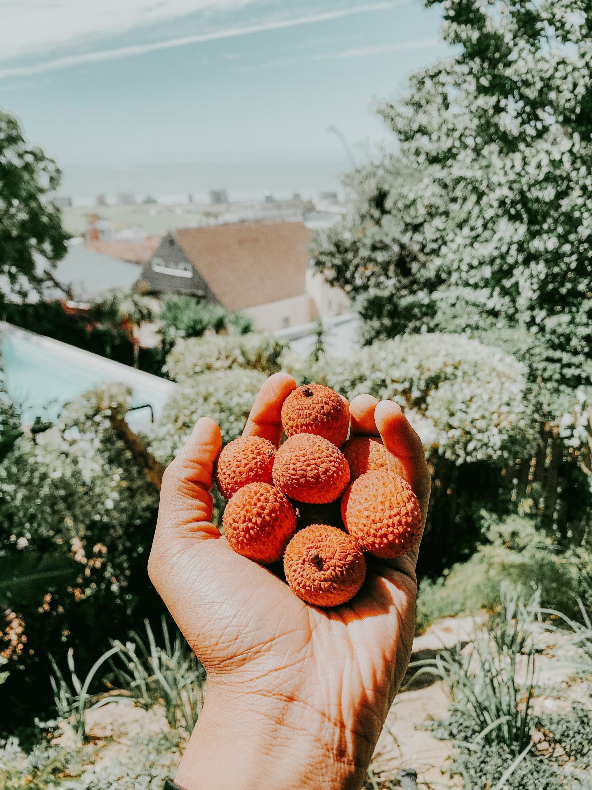 sharaan-muruvan-j90YSlgQy68-unsplash