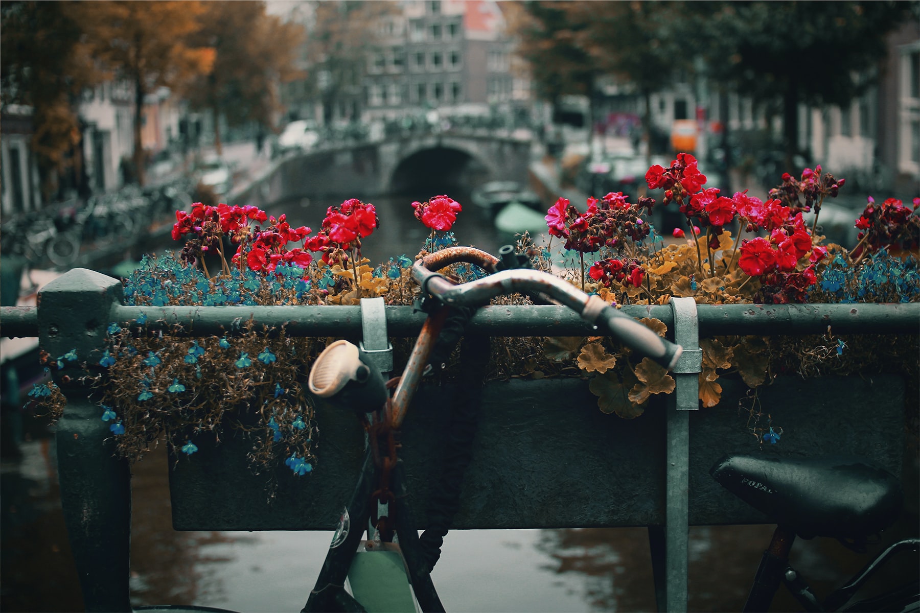 AmsterdamCh3