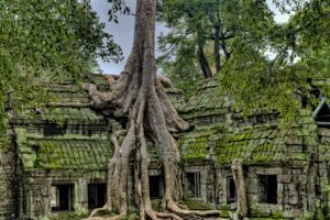 Cambodia2