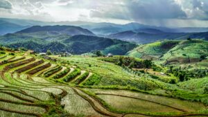 ChiangMai3