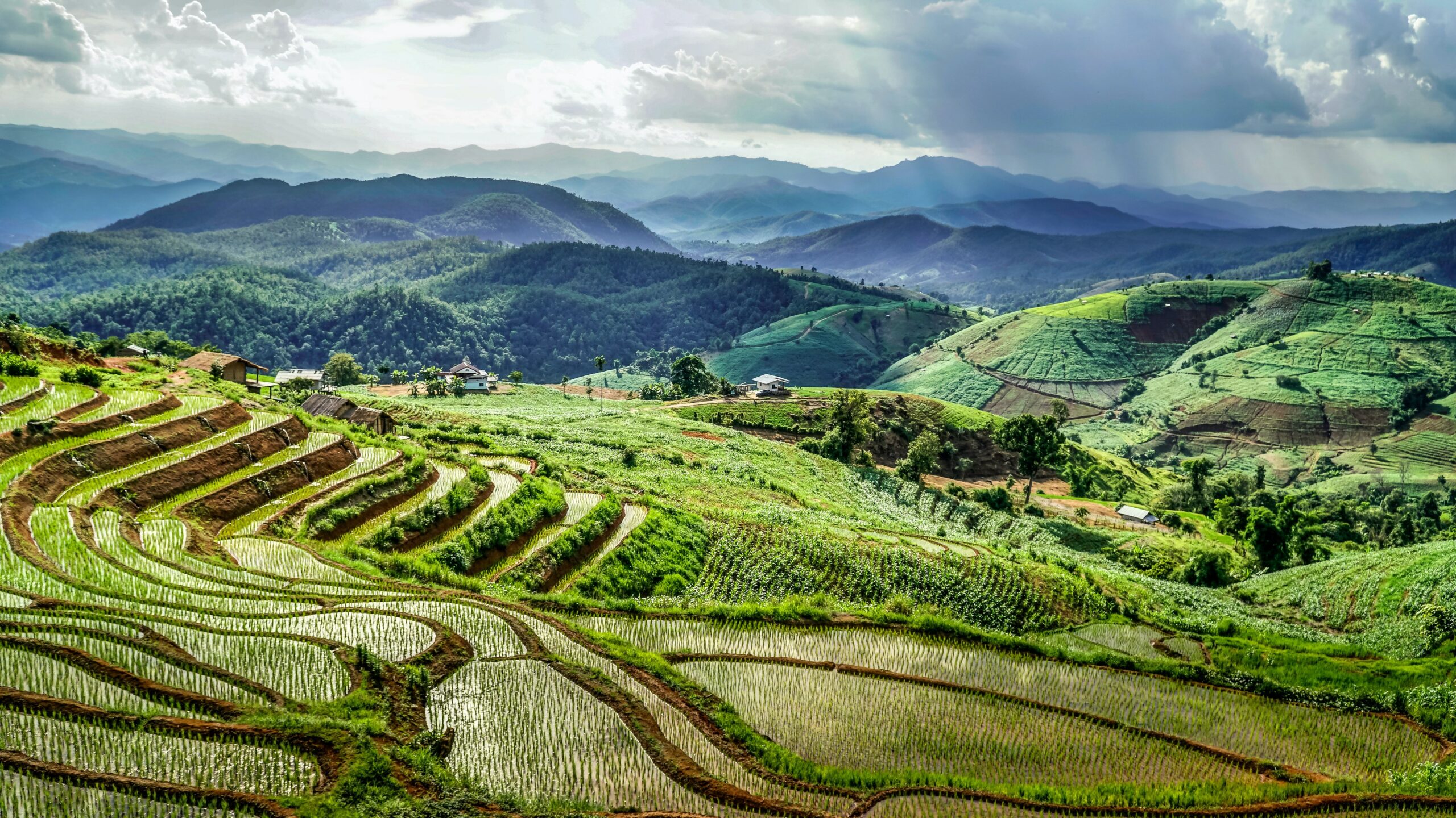 ChiangMai3