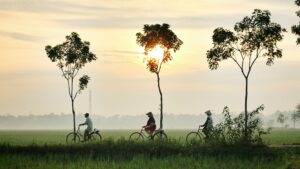 Indonesia2