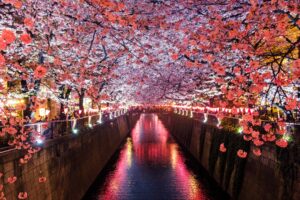 Japon3