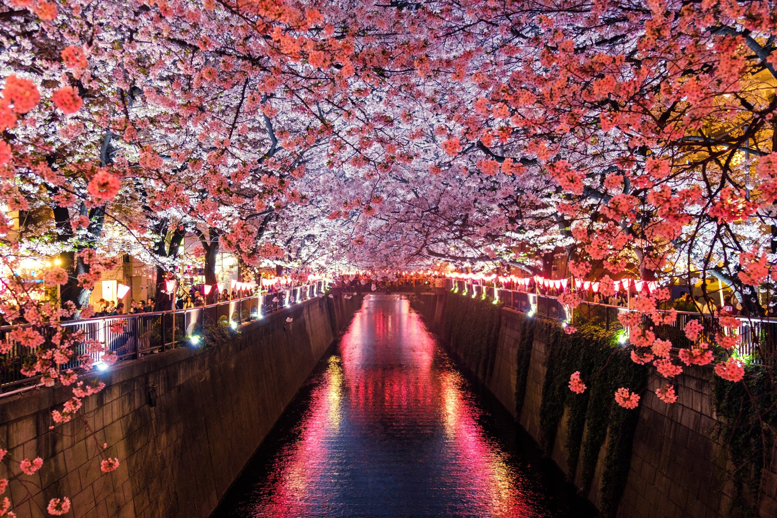 Japon3