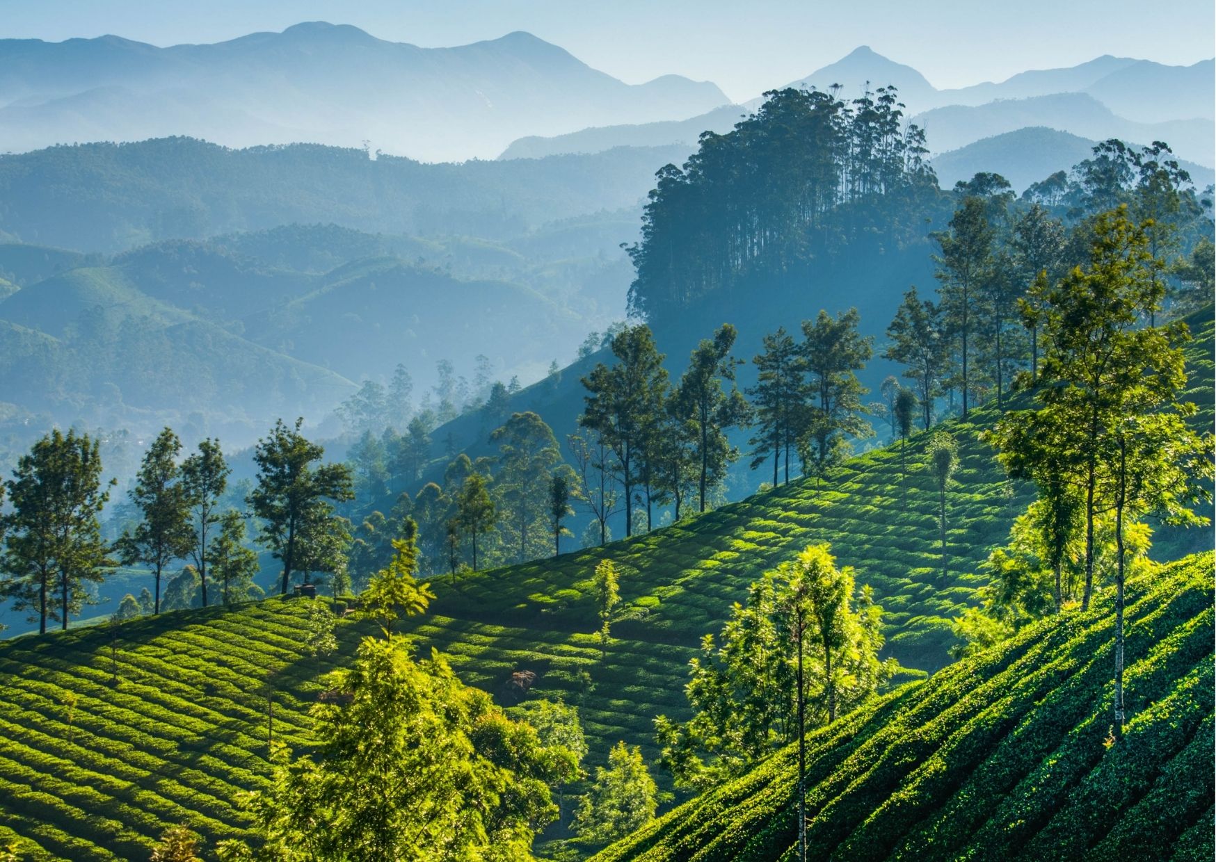 Kerala4