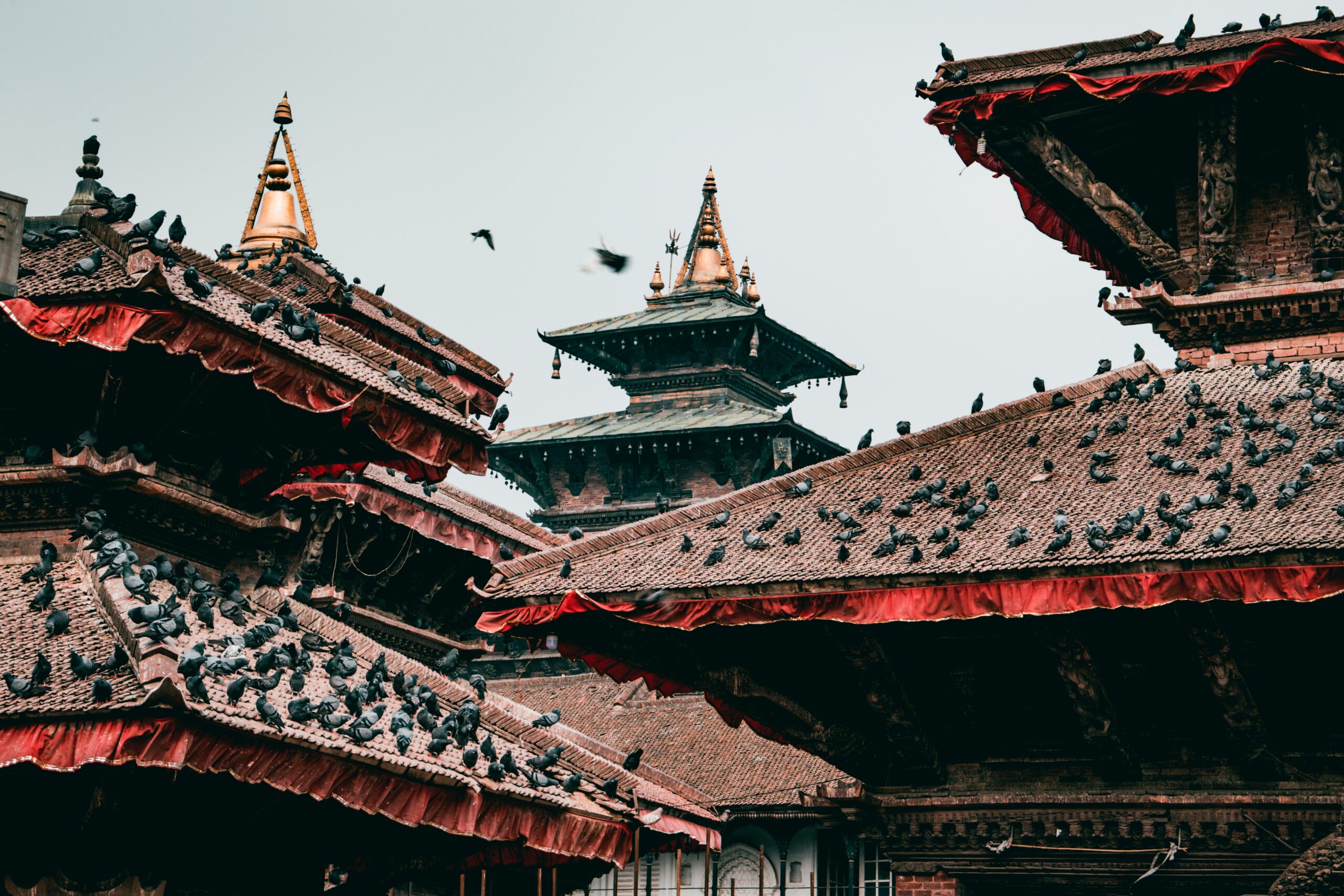 Nepal2
