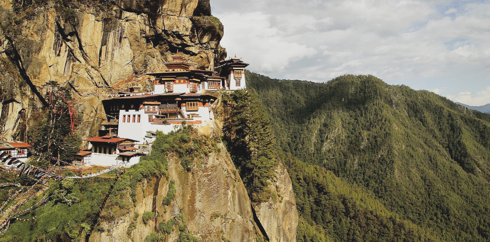 Paro2