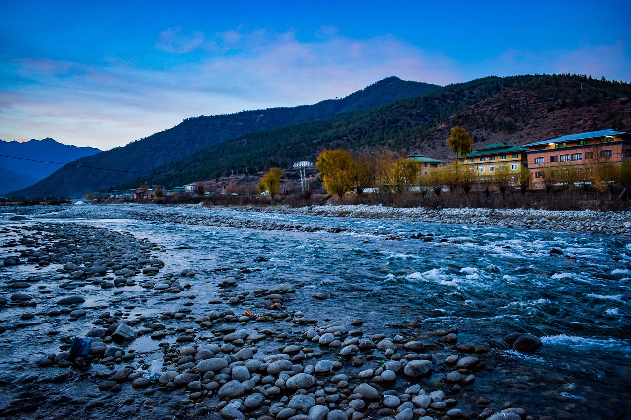 Paro3