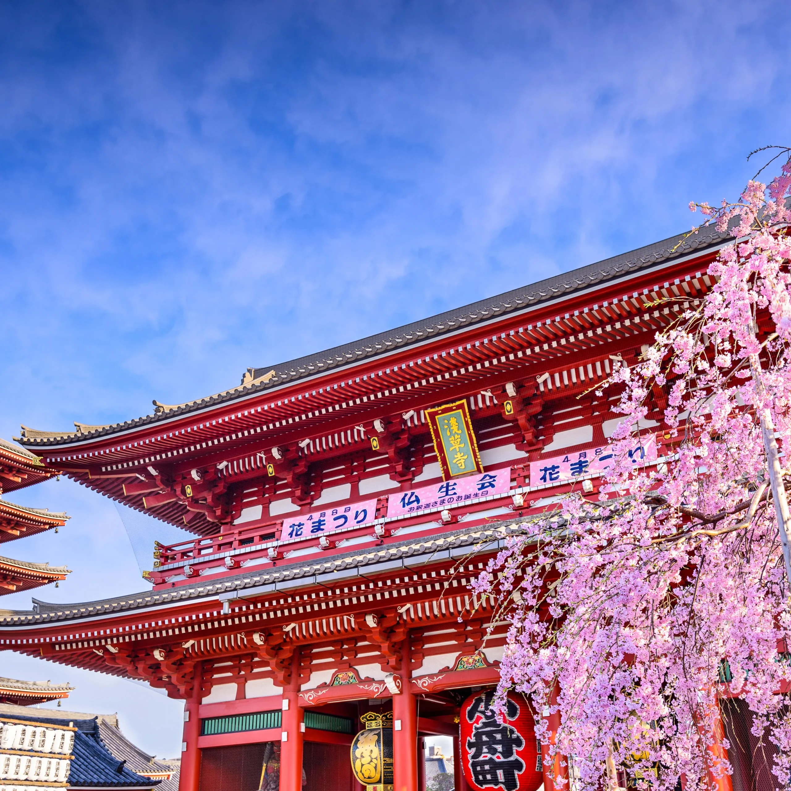 Tokyo3