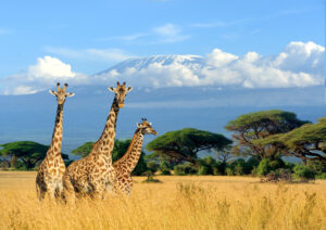 170706112946-kenya