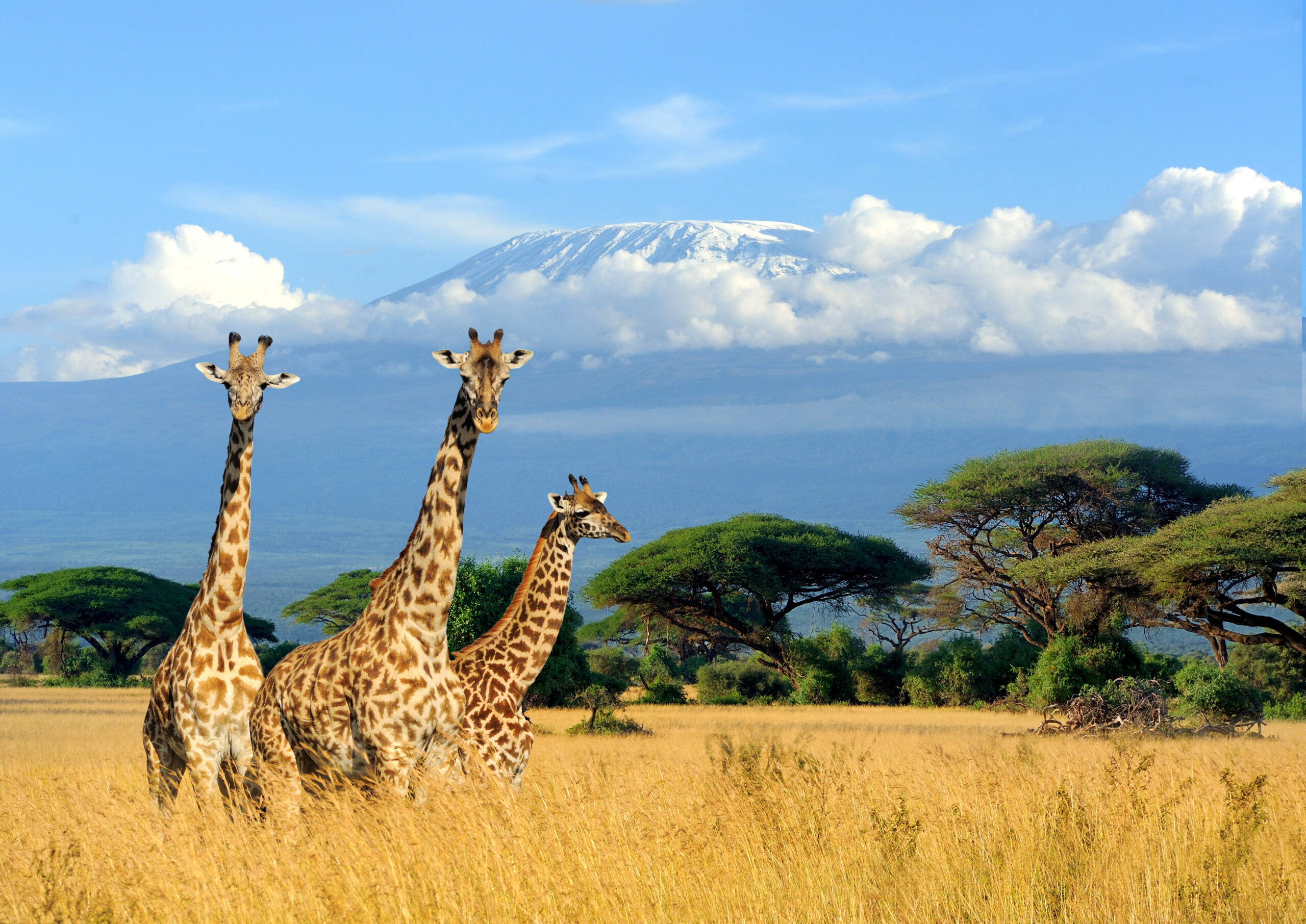 170706112946-kenya