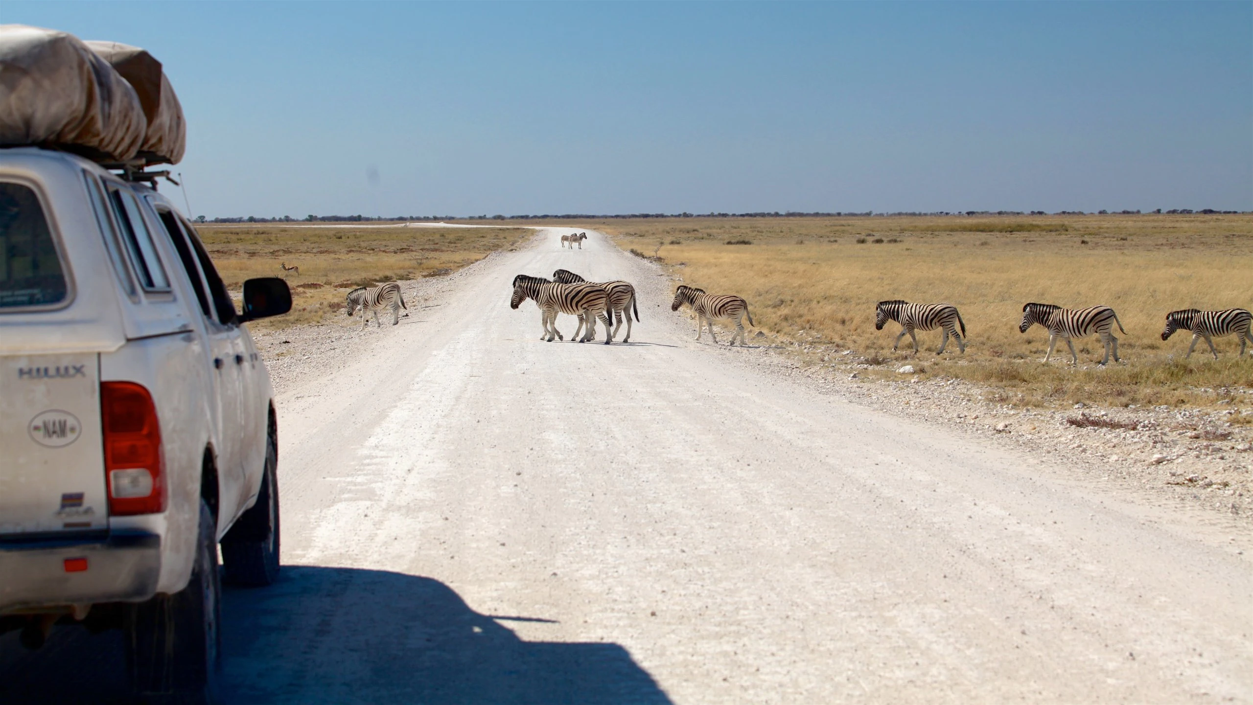 213888-Etosha-National-Park