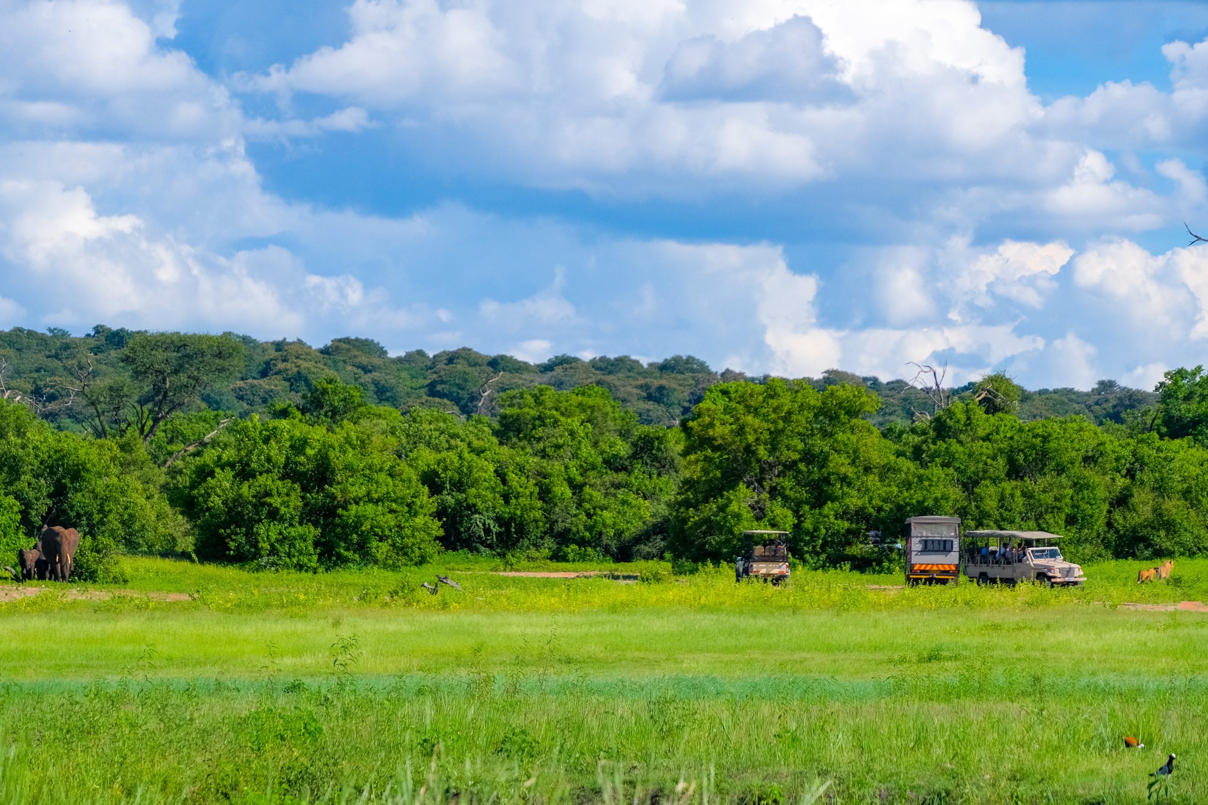 Botswana-31-2400x1600