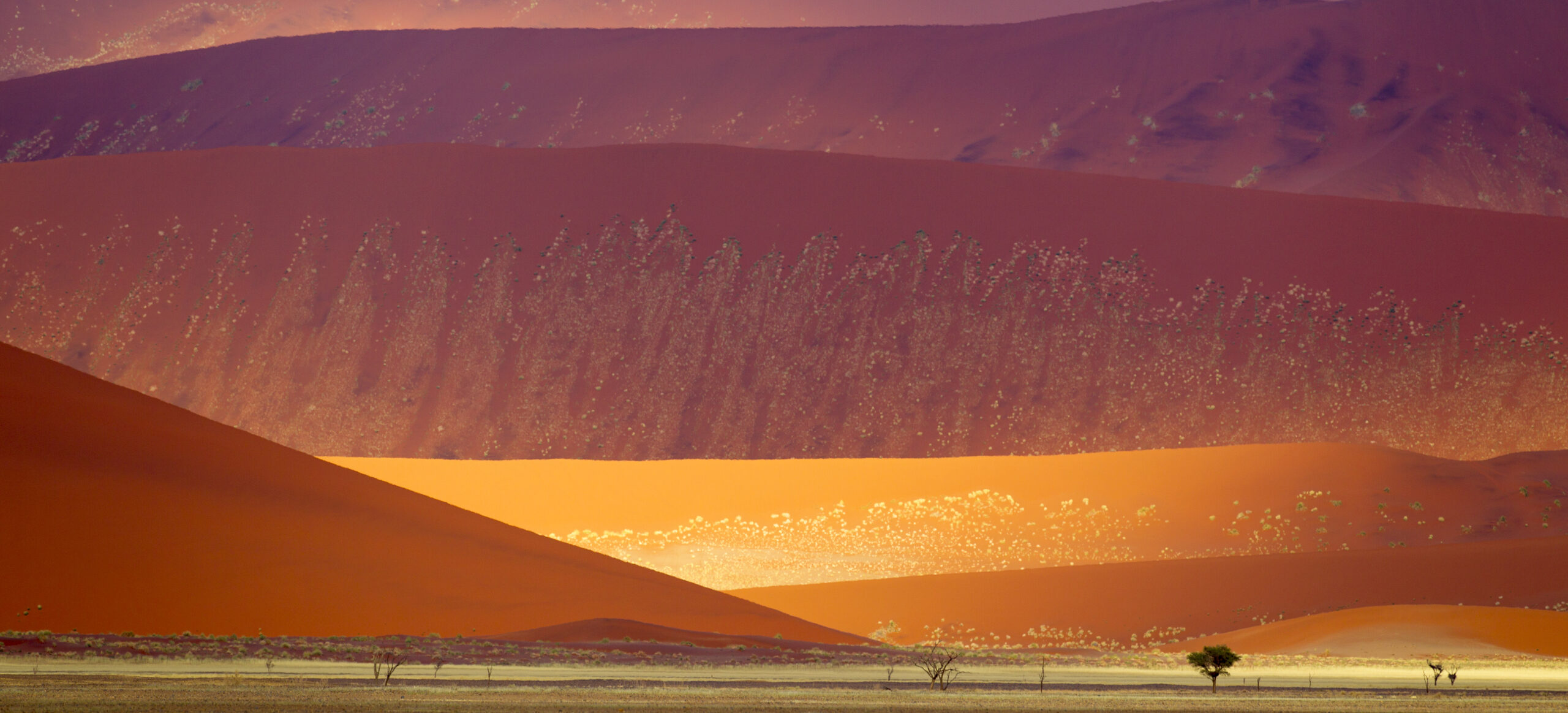 Namib-Naukluft_Sand_Dunes_(2011)