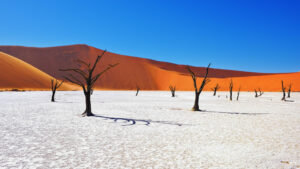 Namibia-e1555939331801-2500x1406