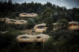 Wilderness-Bisate-Ruanda