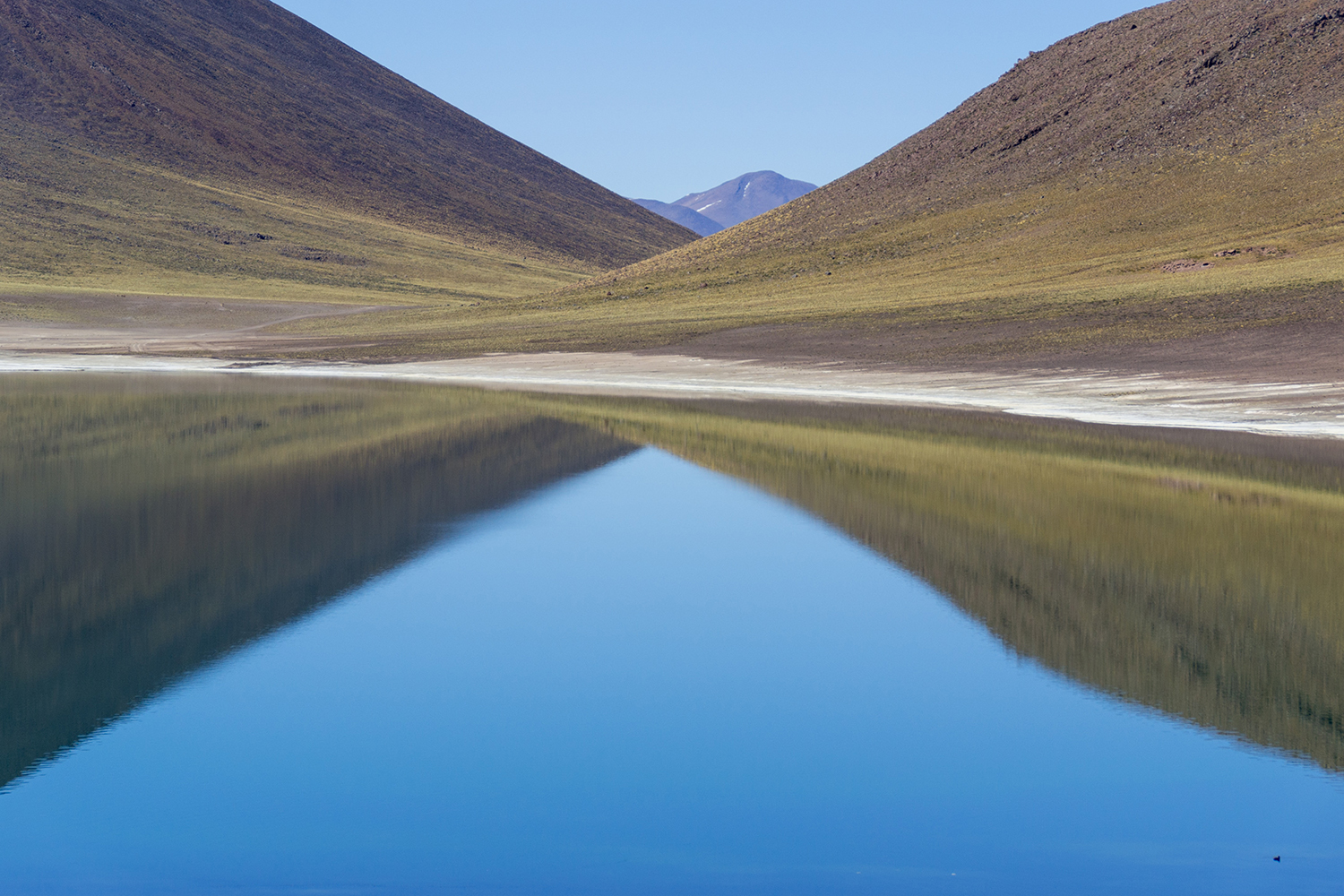 david-vives-S4Q6aGDFFYw-unsplash
