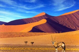 es-seguro-viajar-a-namibia-3