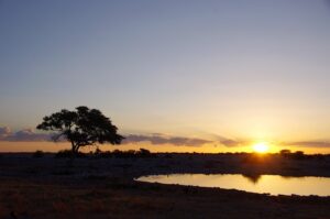 etosha2