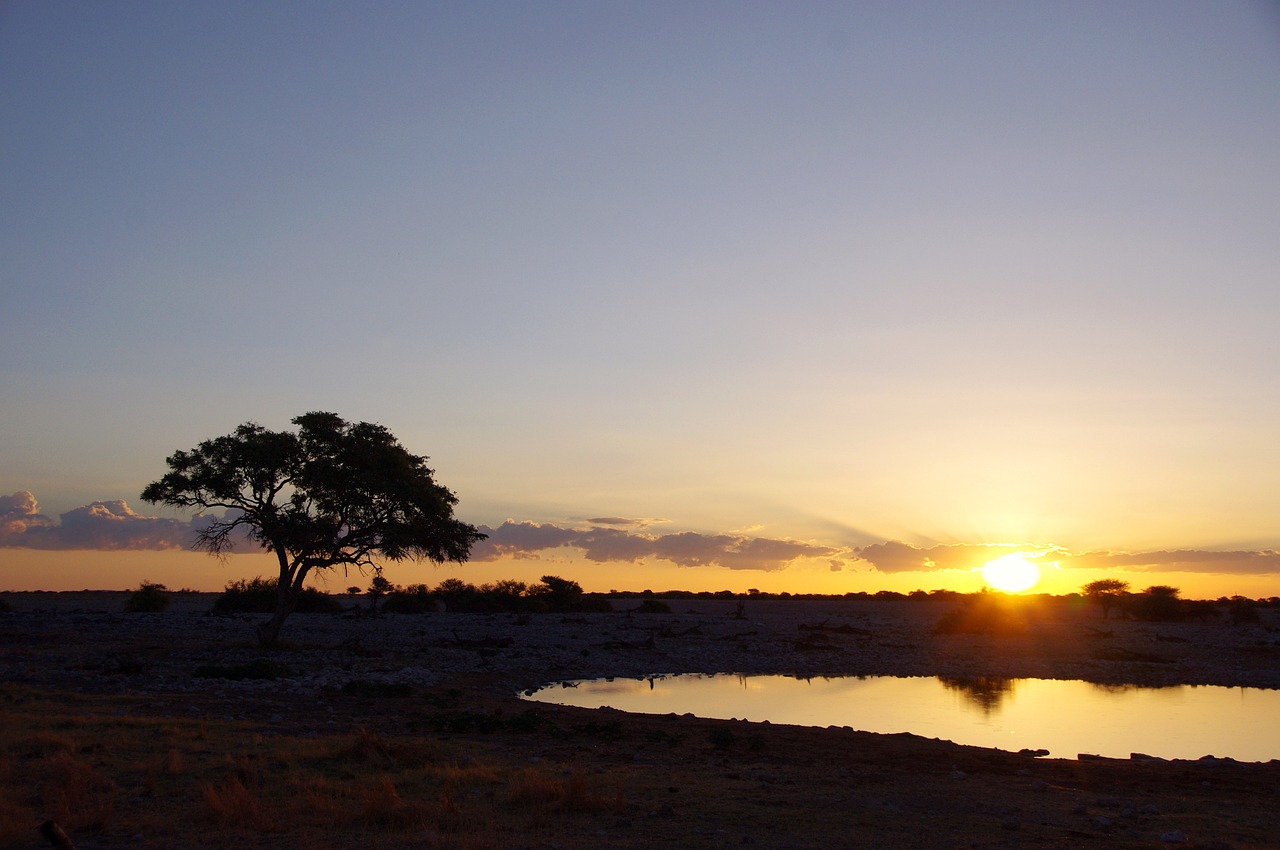 etosha2