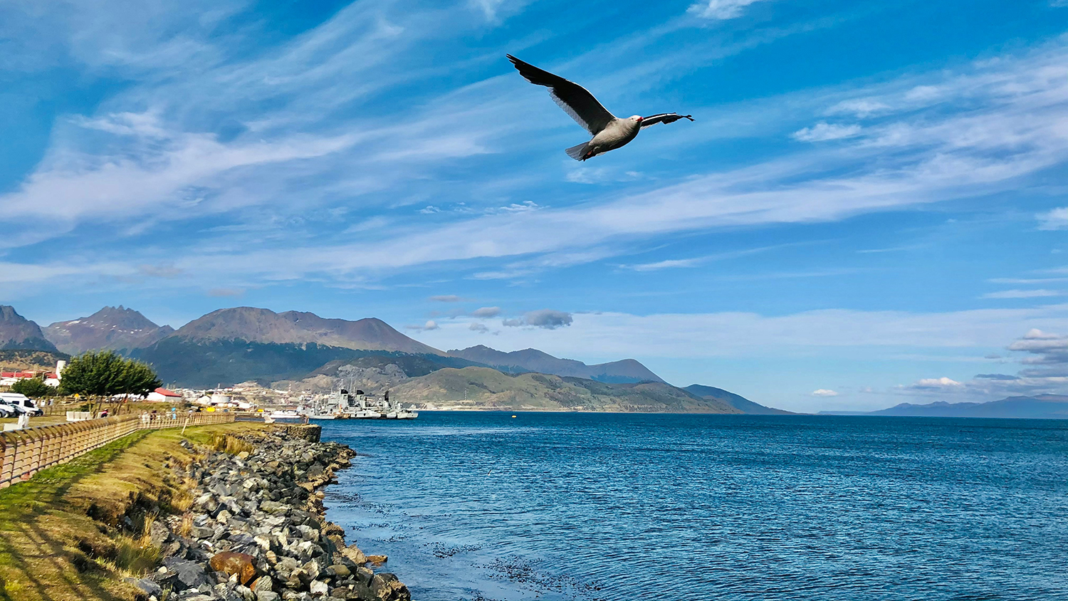 juan-pablo-mascanfroni-SoUqeKzR_Js-unsplash