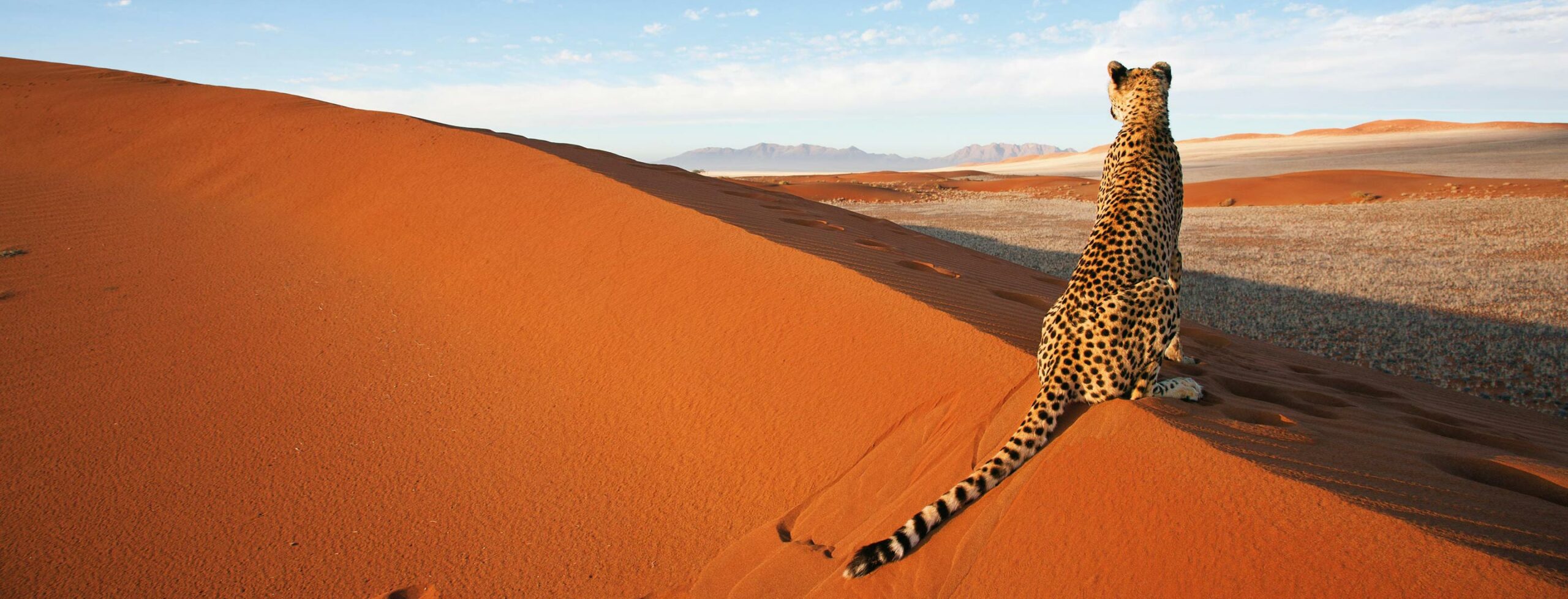 namibia-hero-2