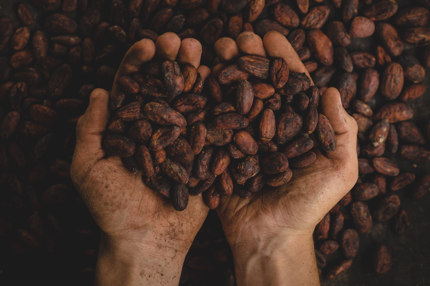 pablo-merchan-montes-SCbq6uKCyMY-unsplash