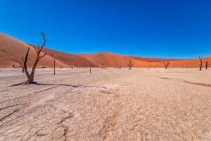 valle-de-la-muerte-de-namibia-namibia-death-valley-parque-nacional-namib-naukluft-84405-xl